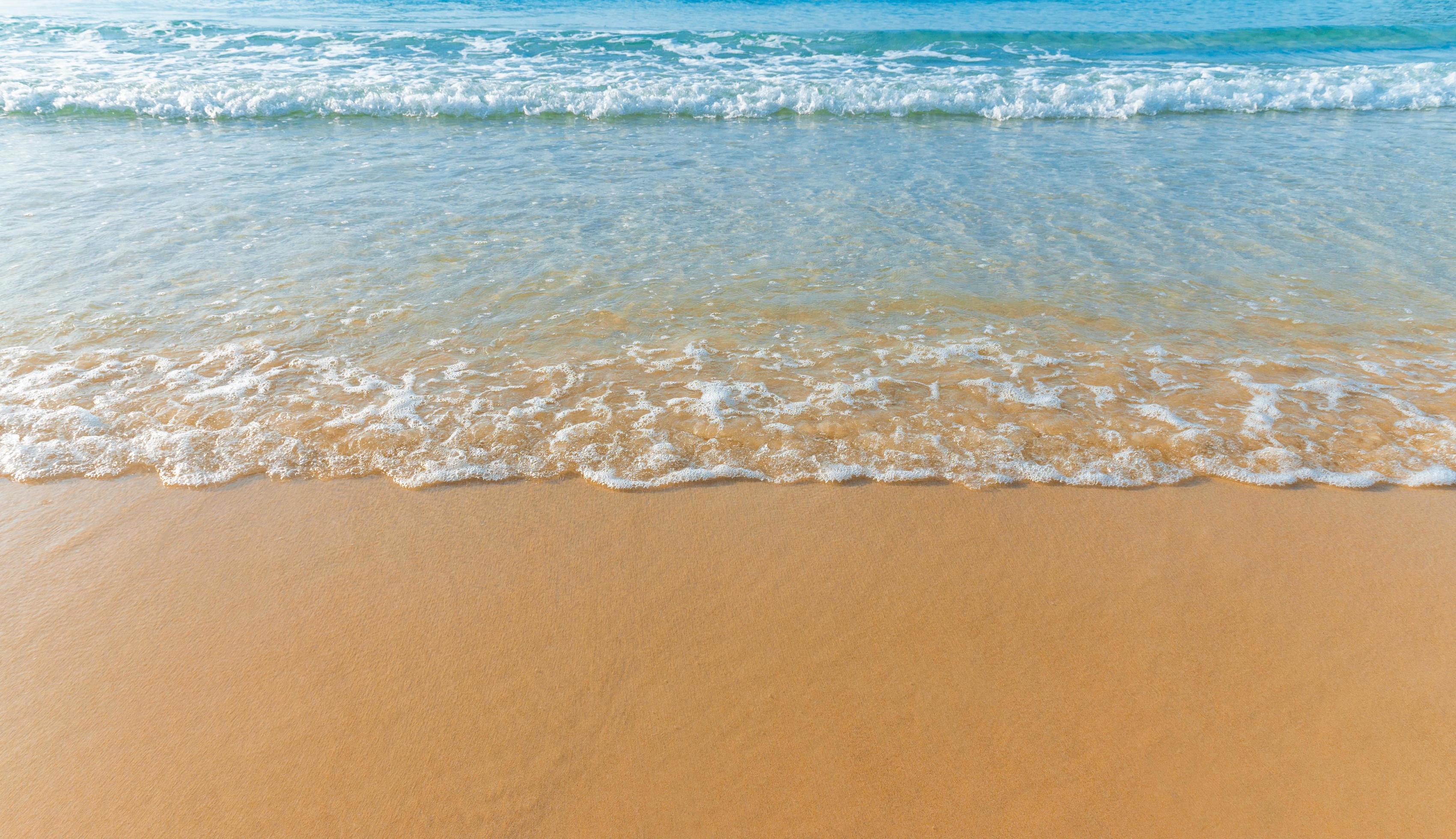 Praia de Leste — Pousada Siri do Mar